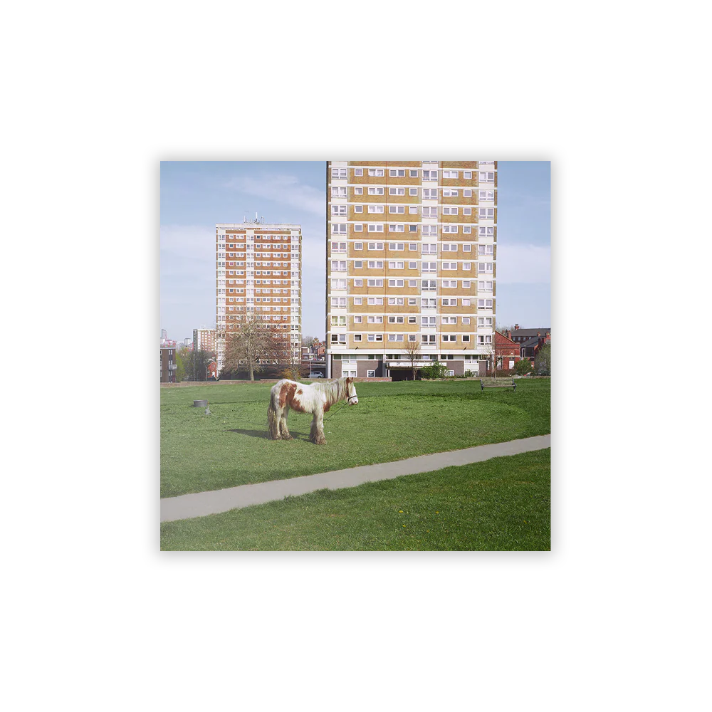 It Goes On – CD - Image 3
