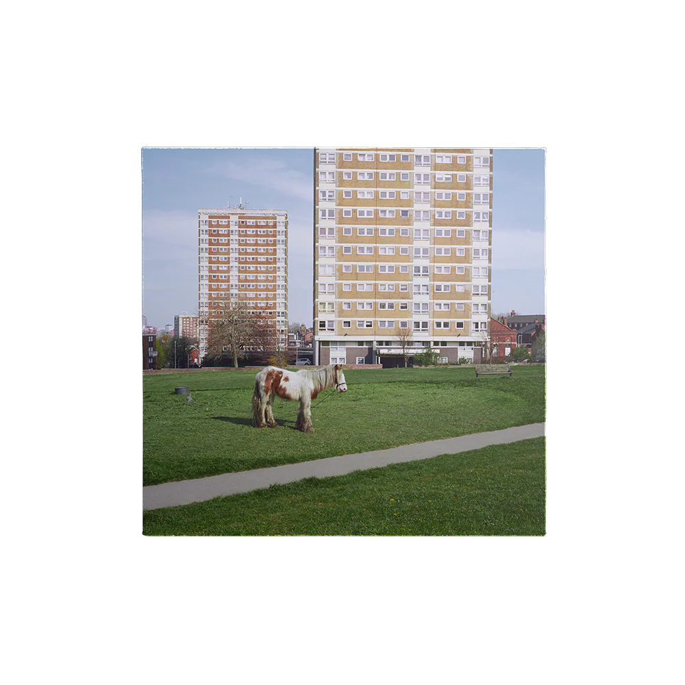 It Goes On – Black LP - Image 5