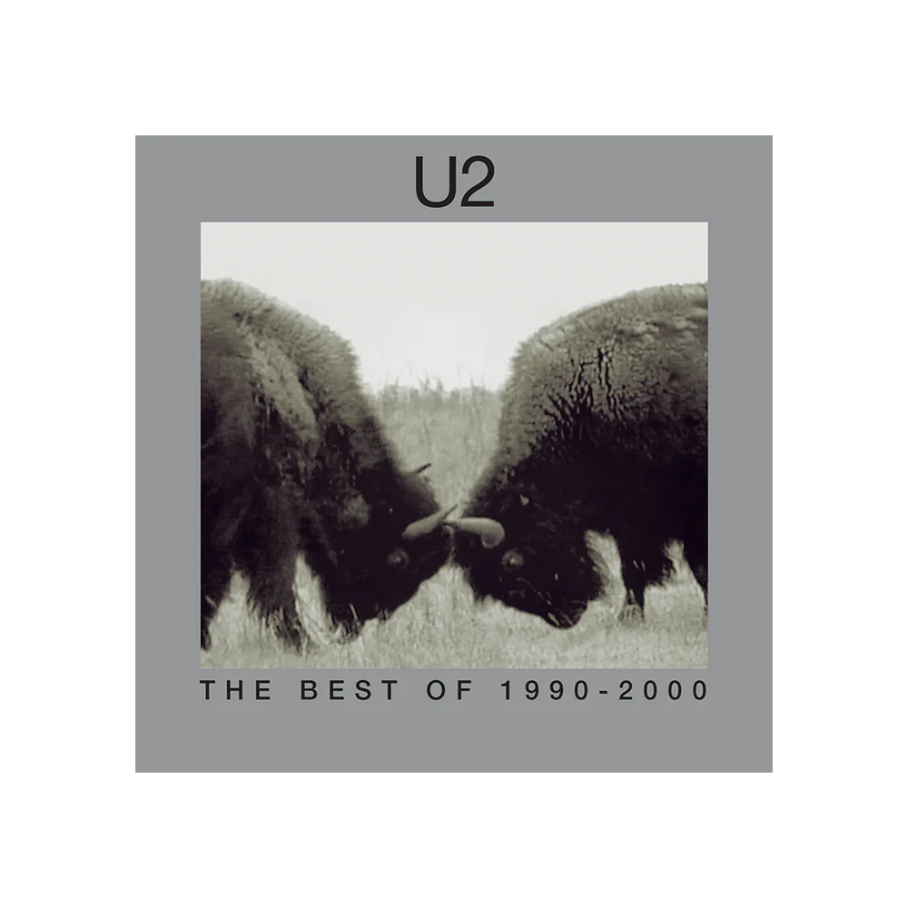 The Best Of 1990-2000 2LP